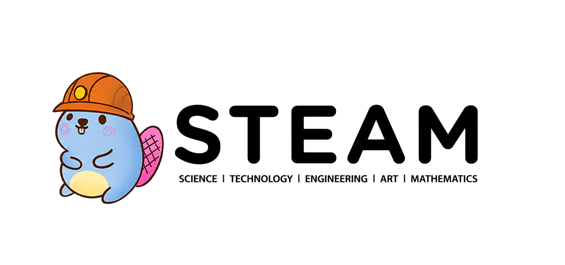 STEAM